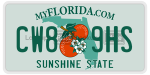 CW89HS  license plate in FL