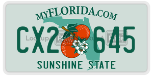 CX2645  license plate in FL