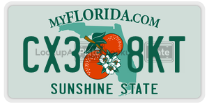 CX38KT  license plate in FL