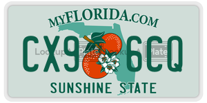 CX96CQ  license plate in FL
