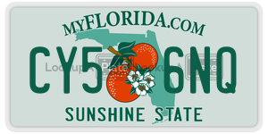 CY56NQ  license plate in FL