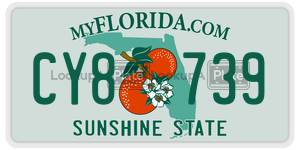 CY8739  license plate in FL