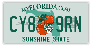 CY89RN  license plate in FL