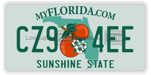 CZ94EE  license plate in FL