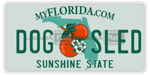 D0GSLED  license plate in FL