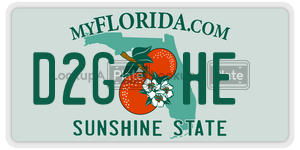 D2GHE  license plate in FL