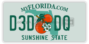 D3DDQ license plate in Florida