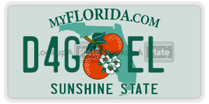D4GEL license plate in Florida