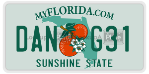DANG31 license plate in Florida