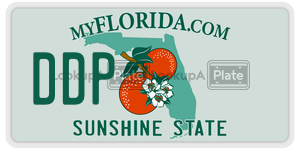 DDP license plate in Florida