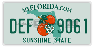 DEF9061  license plate in FL