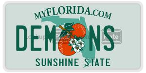 DEMNS  license plate in FL