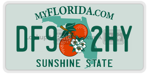 DF92HY  license plate in FL
