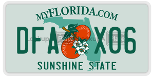 DFAX06  license plate in FL