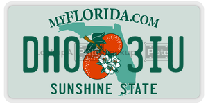 DH03IU license plate in Florida