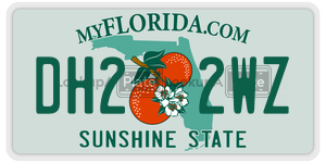DH22WZ license plate in Florida