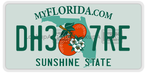 DH37RE  license plate in FL