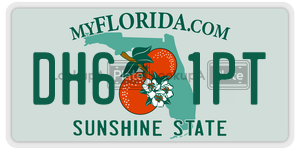 DH61PT  license plate in FL
