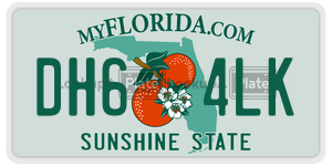 DH64LK  license plate in FL