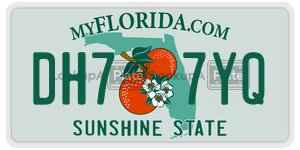 DH77YQ  license plate in FL