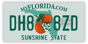DH88ZD  license plate in FL