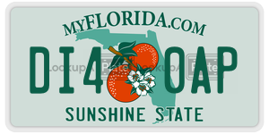 DI40AP  license plate in FL