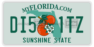 DI51TZ  license plate in FL
