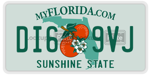 DI69VJ  license plate in FL