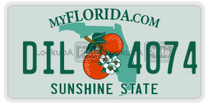 DIL4074 license plate in Florida