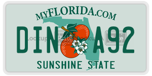 DINA92 license plate in Florida