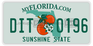 DIT0196 license plate in Florida
