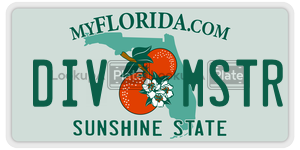 DIVMSTR  license plate in FL