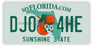 DJ04HE  license plate in FL