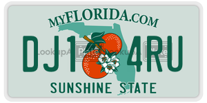 DJ14RU  license plate in FL