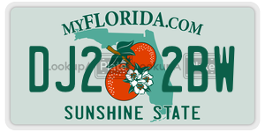 DJ22BW  license plate in FL