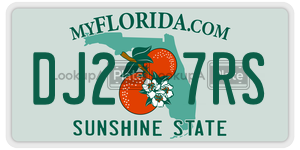 DJ27RS  license plate in FL