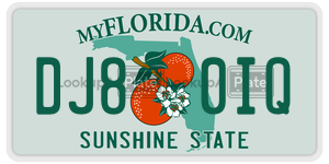 DJ80IQ  license plate in FL