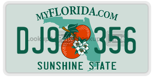 DJ9356  license plate in FL