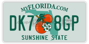 DK78GP license plate in Florida