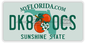 DK80CS  license plate in FL