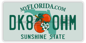 DK80HM  license plate in FL
