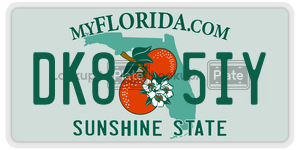 DK85IY license plate in Florida