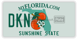 DKN license plate in Florida