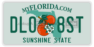 DL08ST  license plate in FL