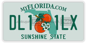 DL11LX  license plate in FL