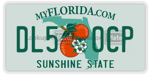 DL50CP  license plate in FL