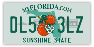DL53LZ license plate in Florida