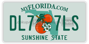 DL77LS license plate in Florida