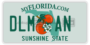 DLMAN  license plate in FL