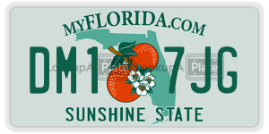 DM17JG  license plate in FL